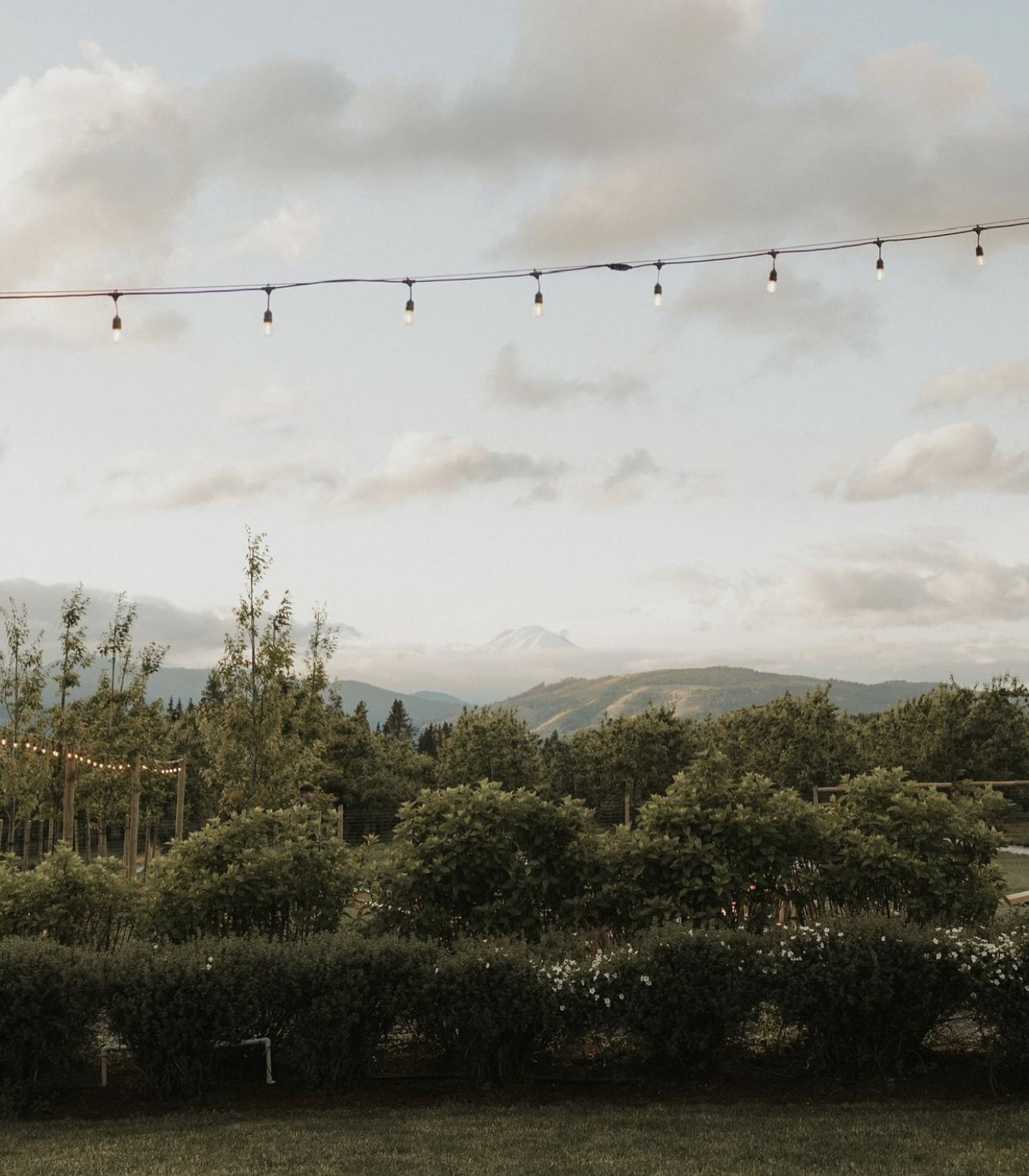 10 Best PNW Wedding Venues | The Orchard Hood River